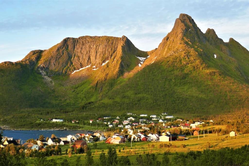 Cozy Apartment between sea&mountains Mefjordvær Zewnętrze zdjęcie